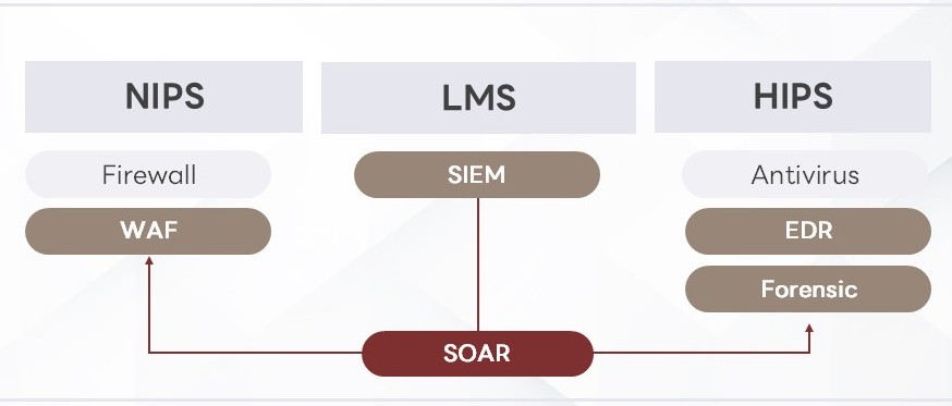 PLURA-XDR Lineup